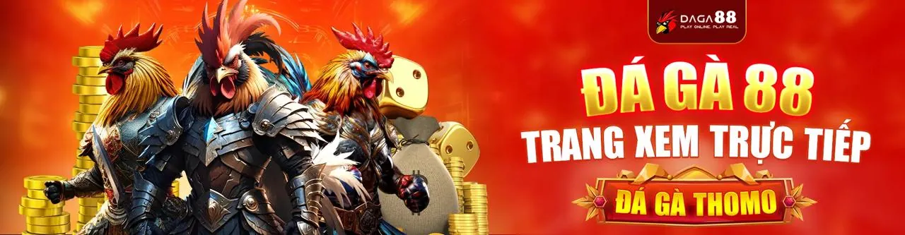 Sới gà trực tuyến sôi động tại rg88